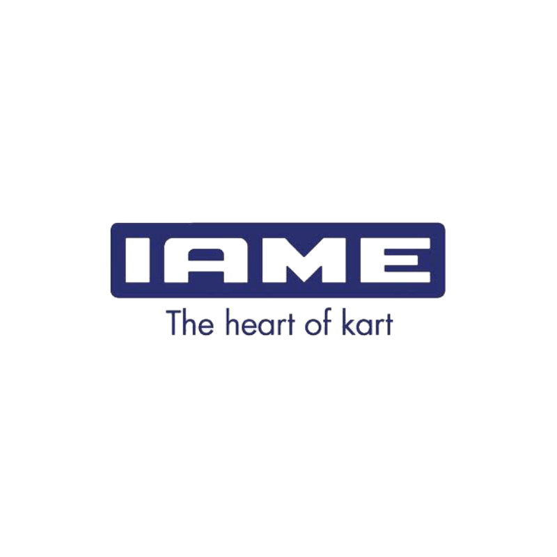 Racing Go Kart Iame Engines, Parts & Components - Point Karting