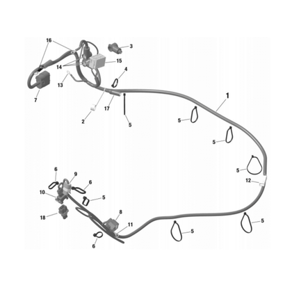 Rotax-Max-Wiring-Harness