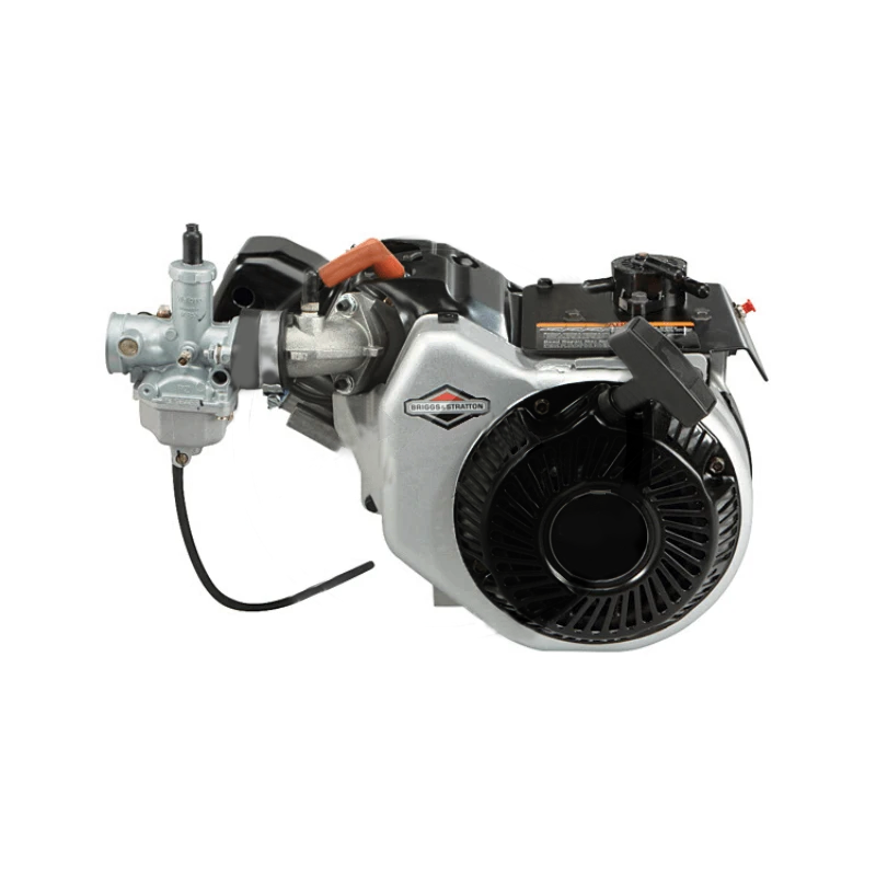 Briggs-Stratton-World-Formula-Racing-Engine-Kart