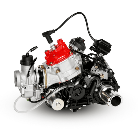 Rotax-DD2-Evo-Kart-Engine