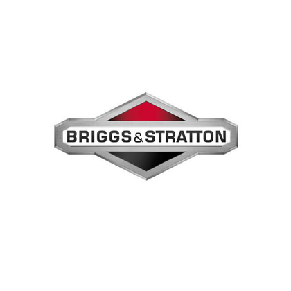 Briggs-Stratton-Kart-Racing-Engines