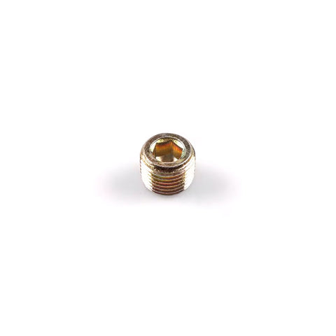 16 | Water Sensor Screw (M10 x 1.0)