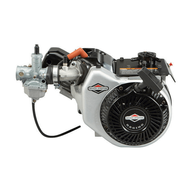Briggs-Stratton-World-Formula-Kart-Engine