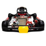 DR Mini 20 with Rotax Micro Max - Race Ready