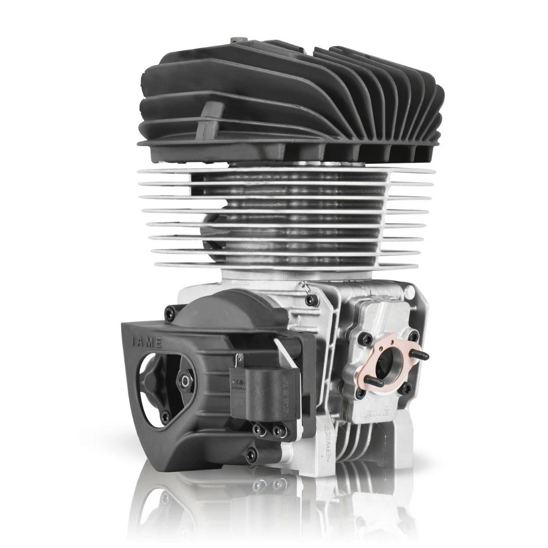 Racing Go Kart Iame Engines, Parts & Components - Point Karting