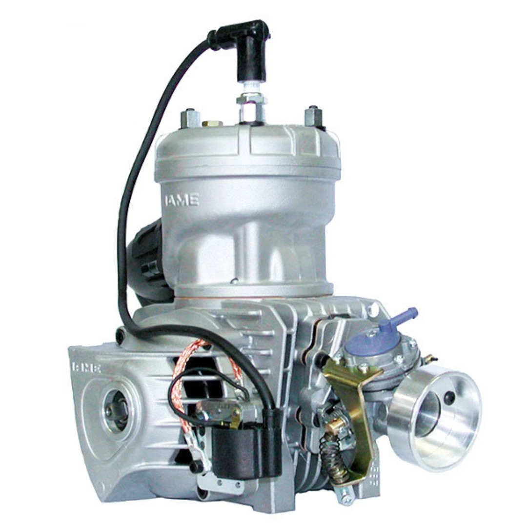 Racing Go Kart Iame Engines, Parts & Components - Point Karting