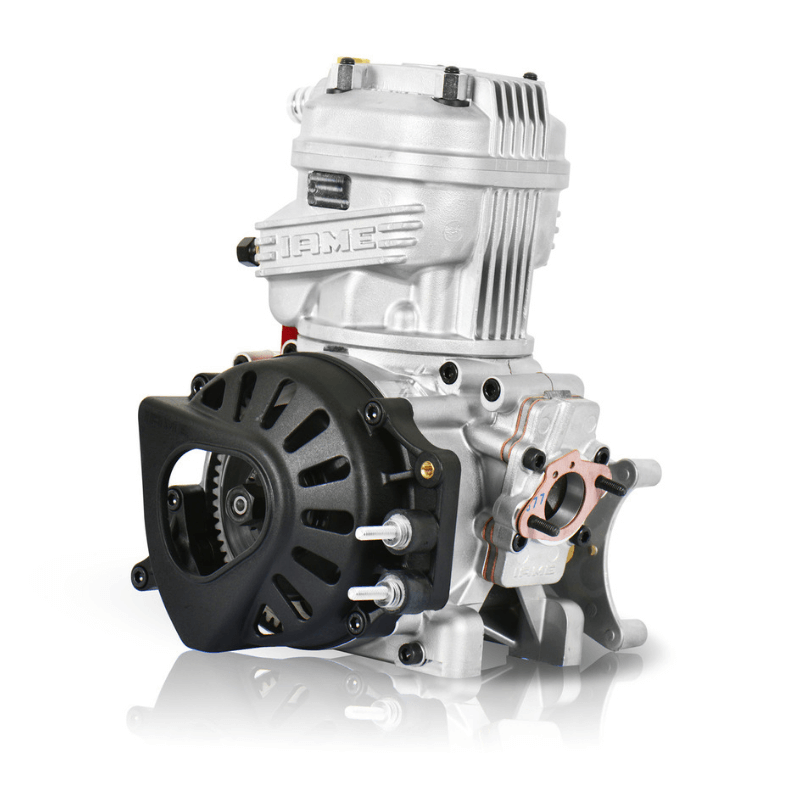 Racing Go Kart Iame Engines, Parts & Components - Point Karting
