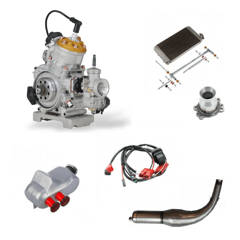 Vortex ROK GP | PointKarting.com – Point Karting