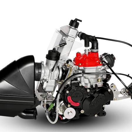 Rotax-Senior-Engine-Kart.png?