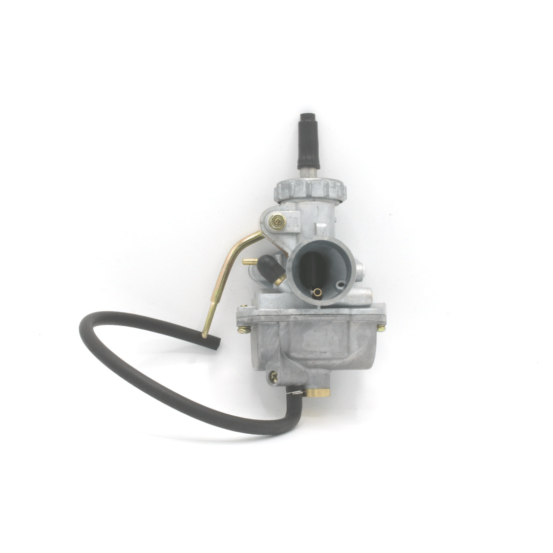 Briggs & Stratton LO206 Carburetor (Complete)