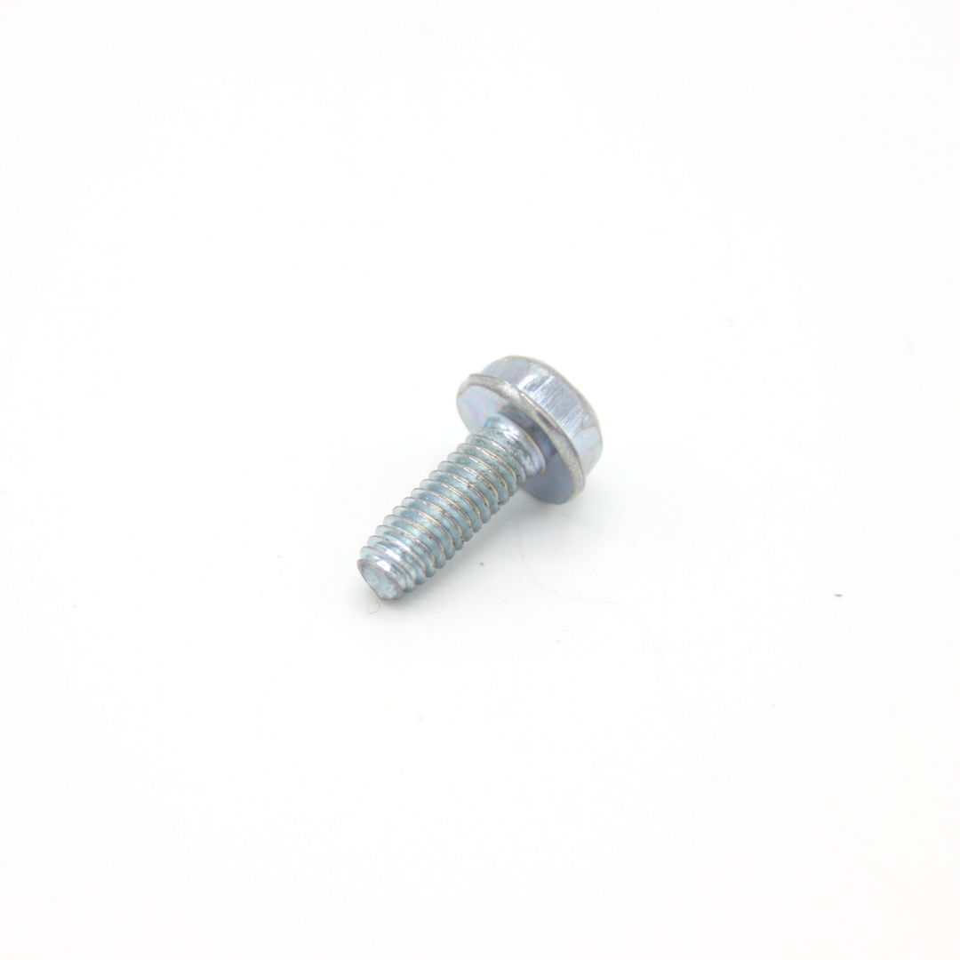 Briggs LO206 Screw 794822 Cylinder Shield